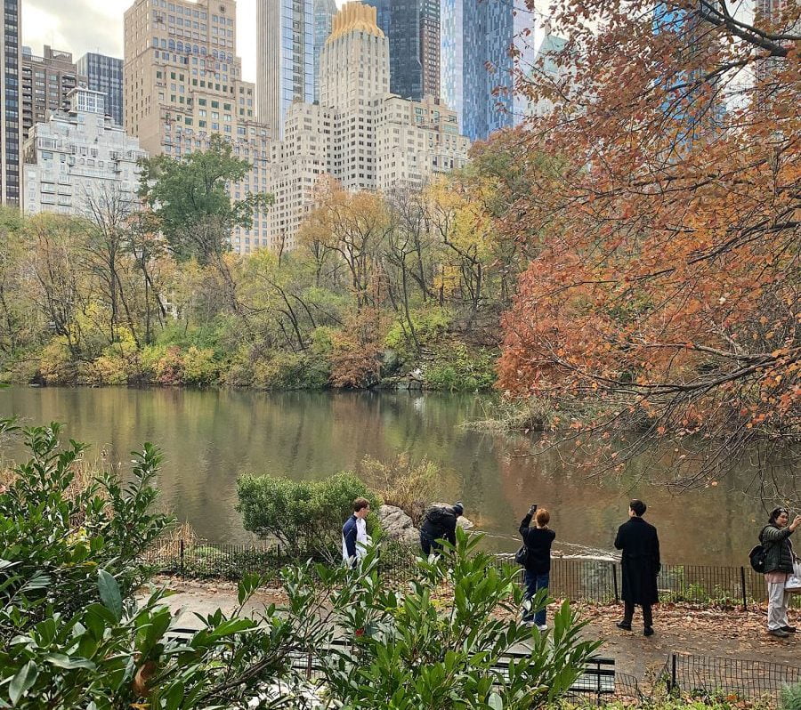 Curiosities Our Bucket Lists Fun Things To Do In NYC This Fall Central Park Walking Tour