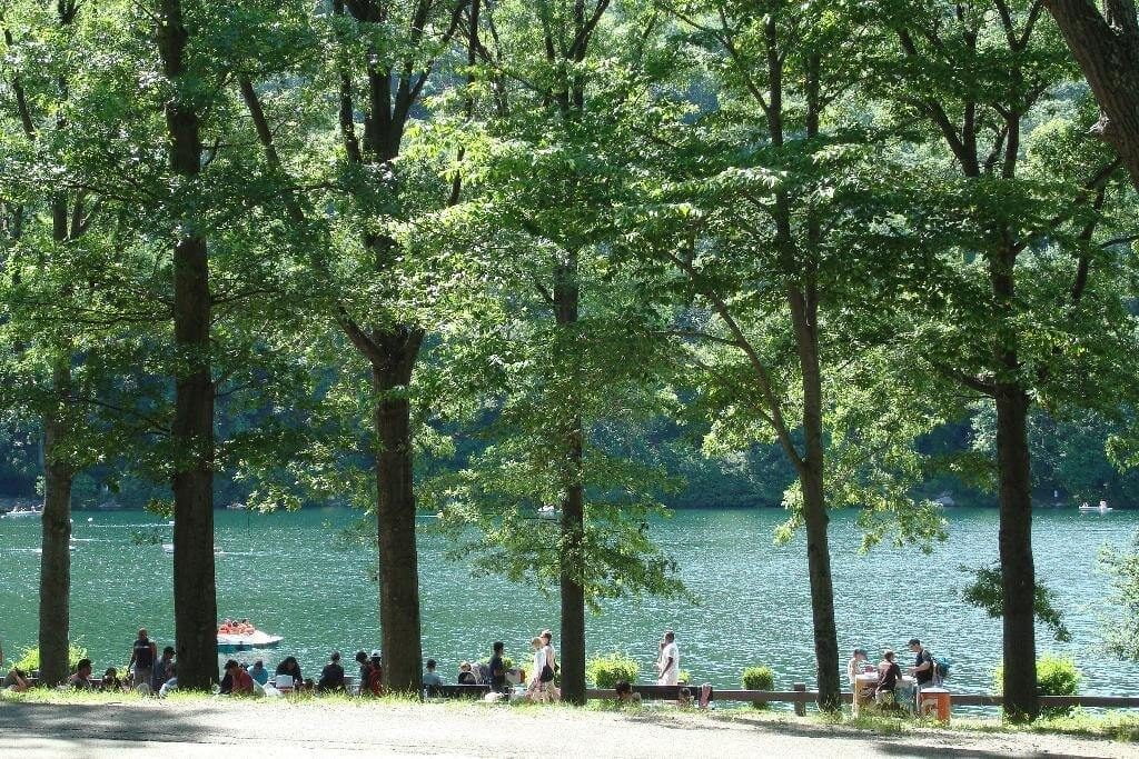 Day Trips and Travels Bear Mountain by Virtual Tourist