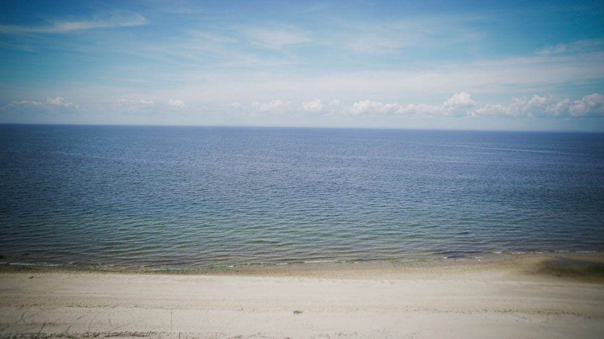 Day Trips and Travels Macari Vineyards View