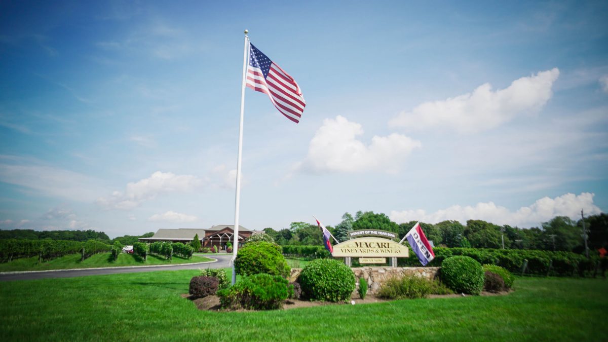 Day Trips and Travels Macari Vineyards