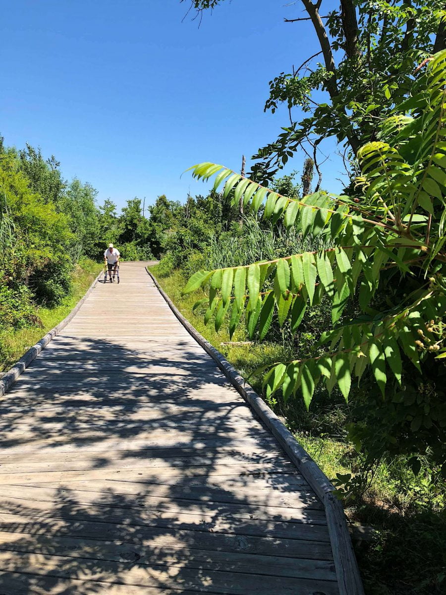 Day Trips and Travels Nude Beaches in New York Gunnison NJ Path To Beach