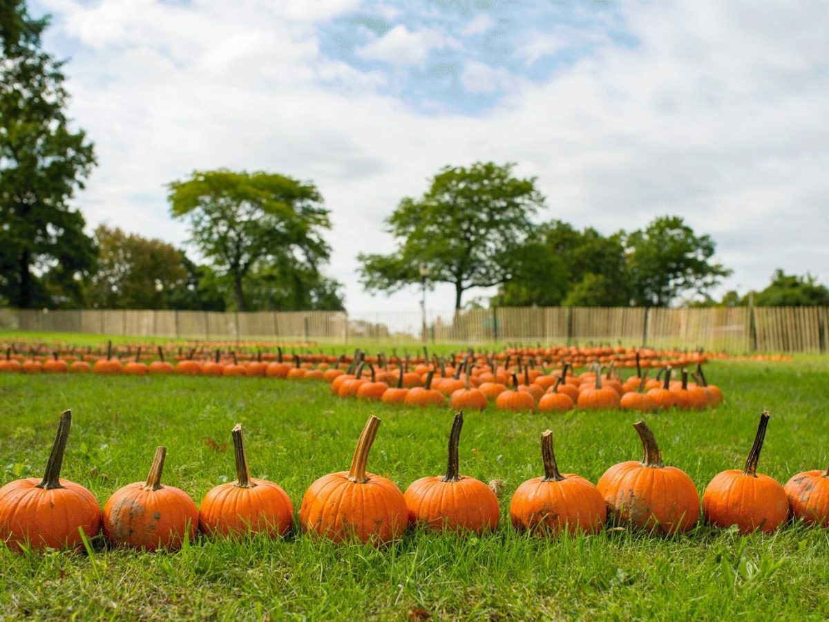 Events Up Coming NYC Halloween Parties Queens Botanical Garden