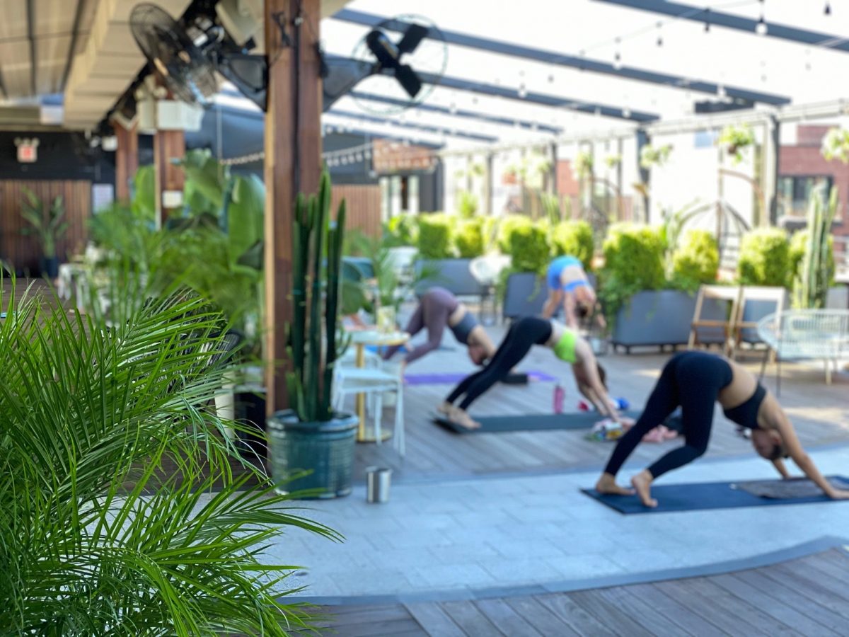 Nightlife Bars Best NYC Rooftop Bars Top of the Box Hotel