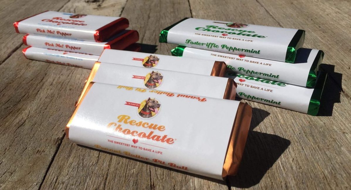 Our Experts Recaps BTSNYC NYC Vegetarian Food Festival 2018 Rescue Chocolate