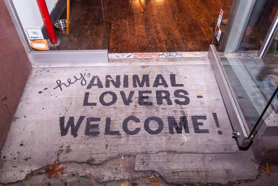 Shop Ladies and Gents Vaute Vegan Fashion Animal Lovers