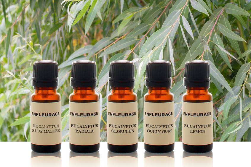 Shop Specialties Enfleurage Essencial Oils in New York Variations