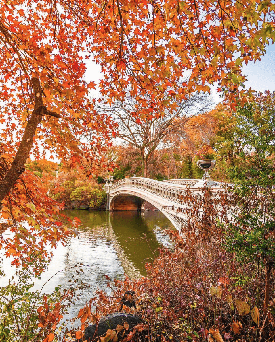 BTSNYC Experiences On Going Secrets of Central Park Walking Tour NYCLovesNYC