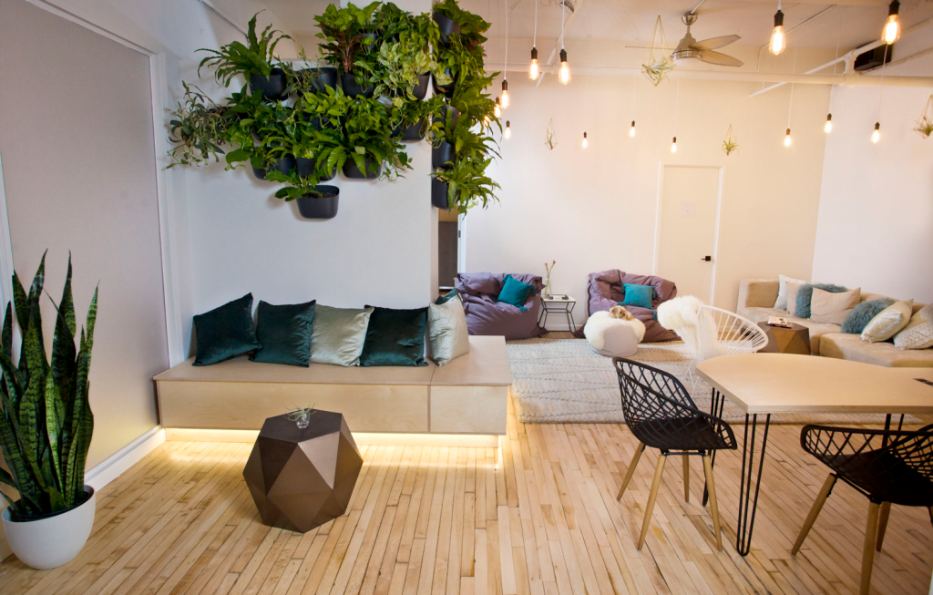 City Wellness Collective: A Space For Healing, Rejuvination and Peace