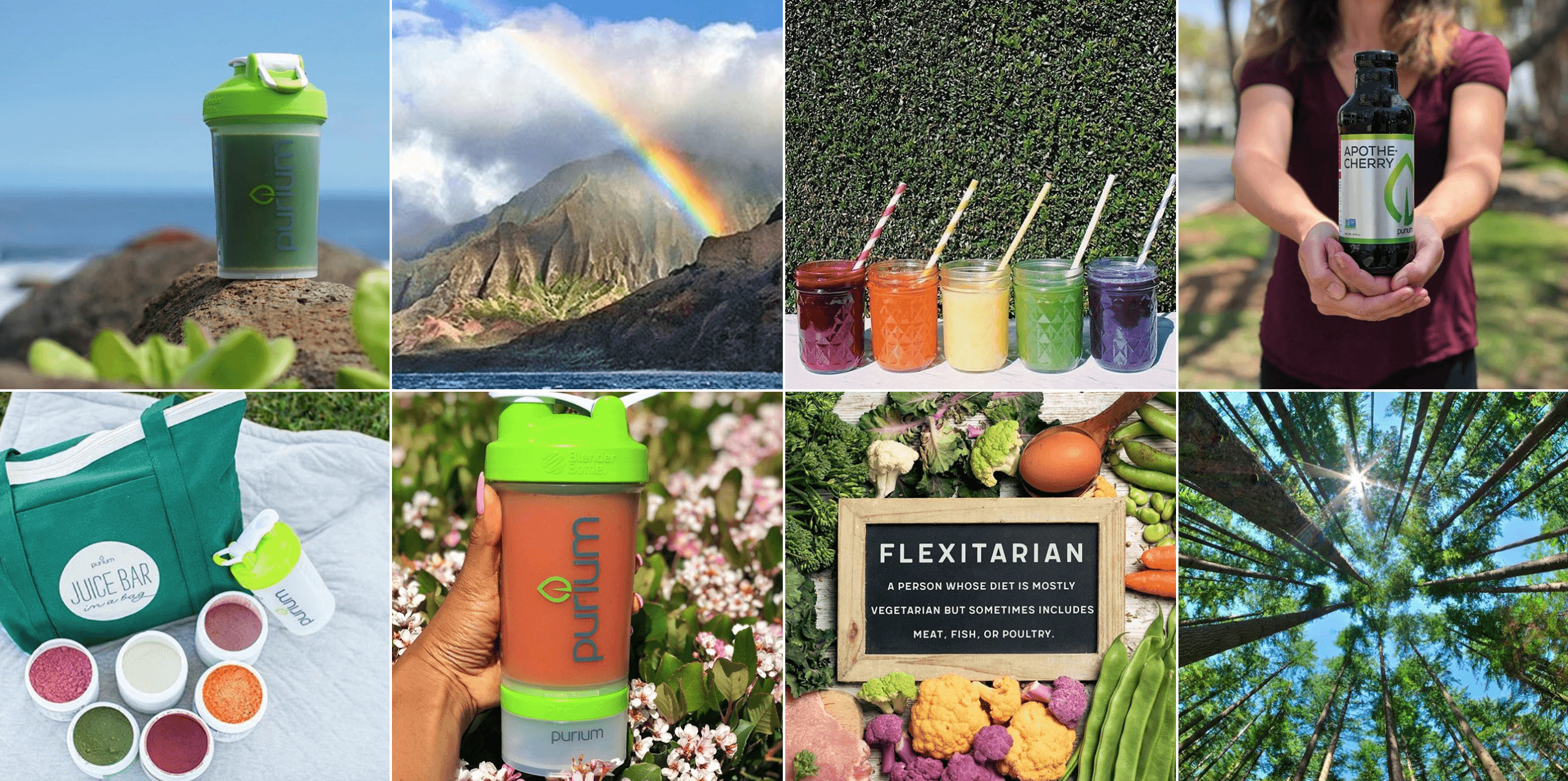 Our Experts Recaps BTSNYC NYC Vegetarian Food Festival 2018 Purium