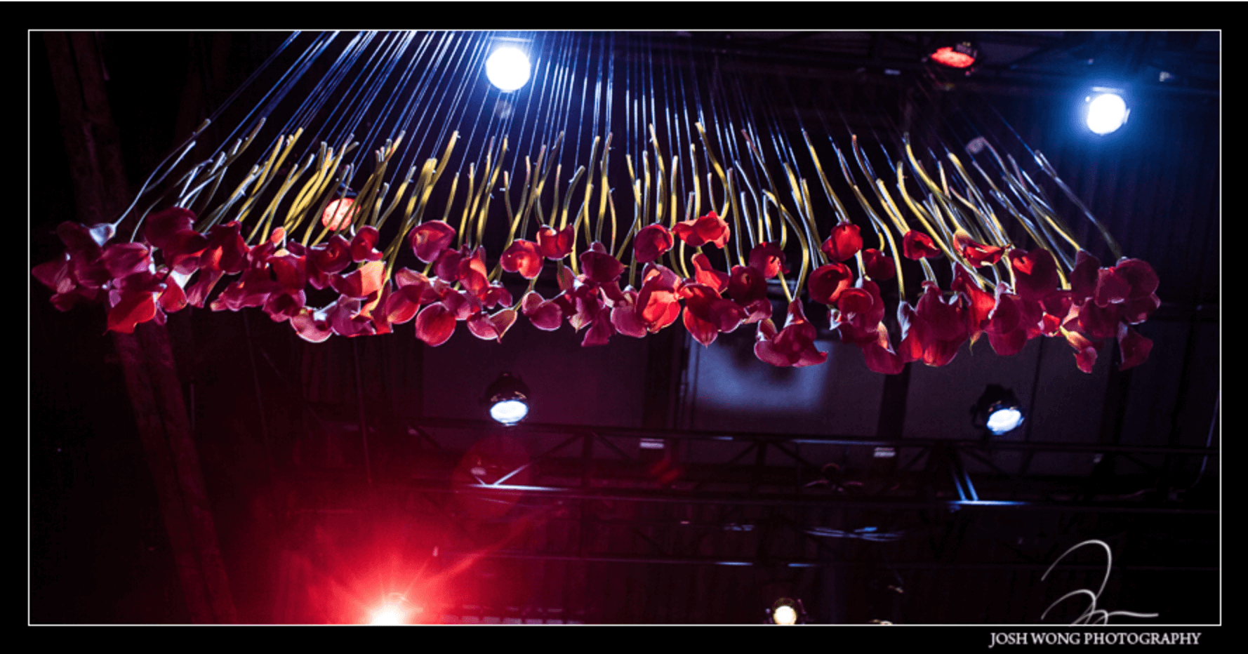 Shop NYC Weddings Martina Campos Cedar Lake Decor